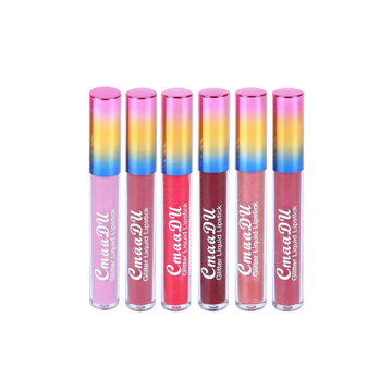 Shiny Matte Lip Gloss